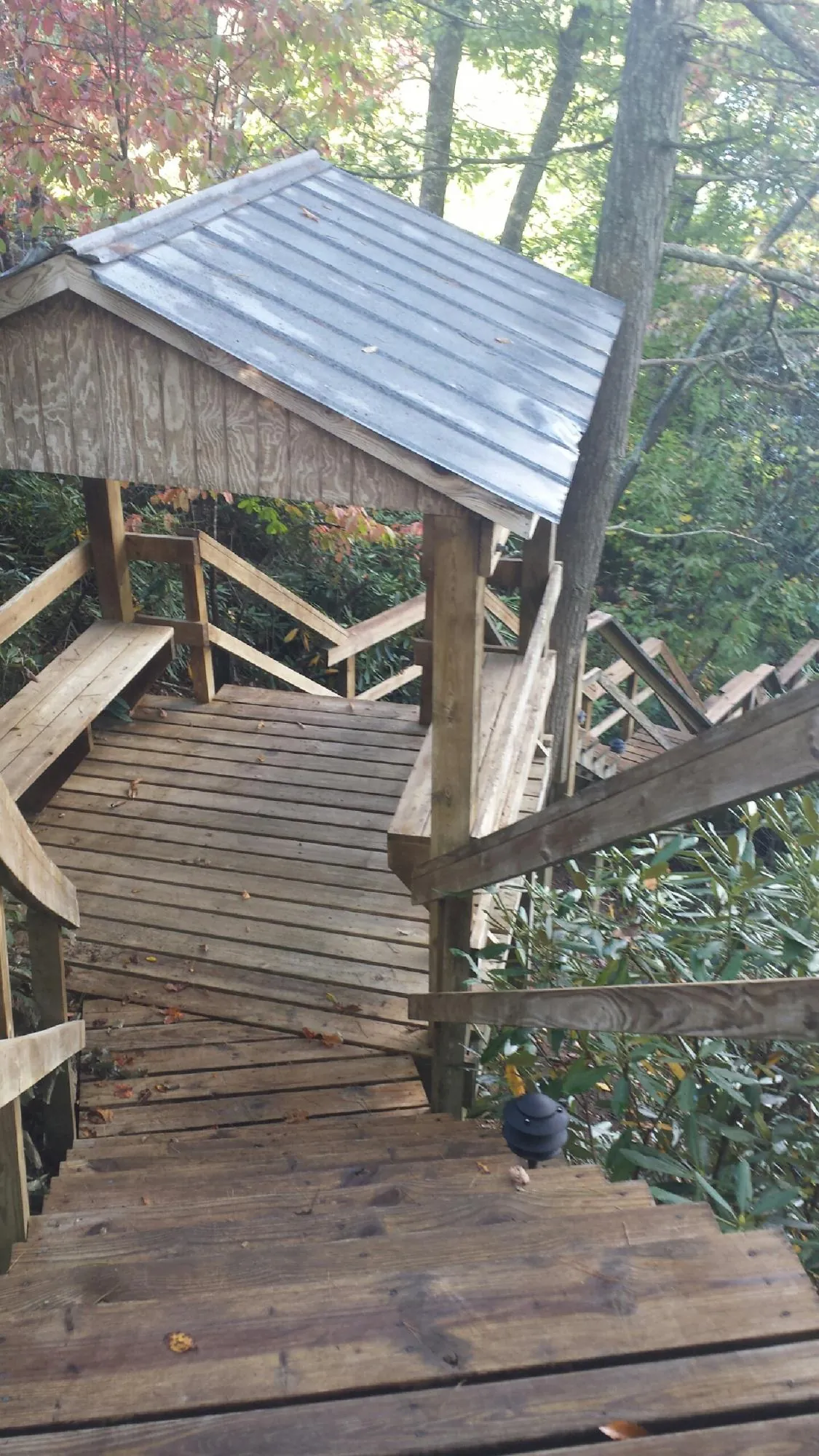 Metal roofed shelter over wooden steps on a wooded walkway — Skylight Repair & Installation work by our crew in Anacortes