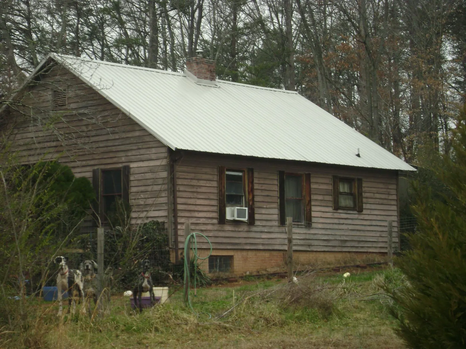 White metal roof on an old wood sided farmhouse, from a Asphalt Shingle Roof Repair job in Anacortes
